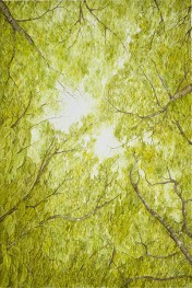 Baumkronen, 38 x 57 (Aquarell von Gitta von Felten)