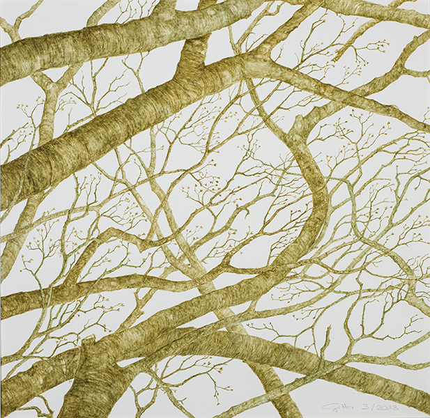 Baumzeichen, 38 x 37 (Aquarell von Gitta von Felten)