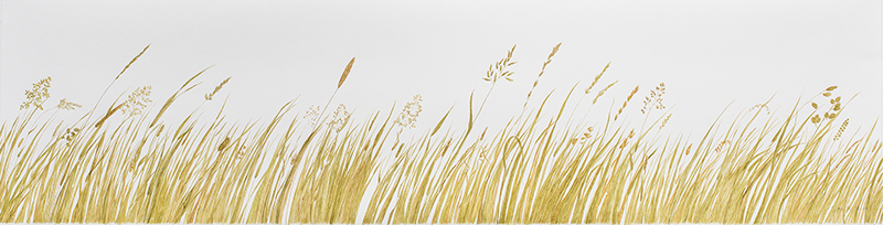 … der Duft von Gras   , 140 x 25 (Aquarell von Gitta von Felten)