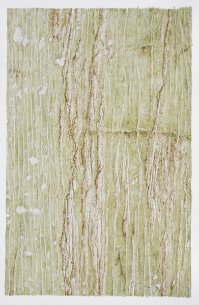 Bäume - Roteiche, 25 x 39 (Aquarell von Gitta von Felten)