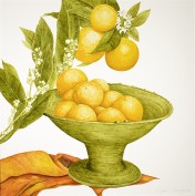 Orangen, 46 x 46 (Aquarell von Gitta von Felten)
