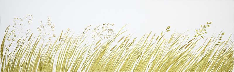 Gräser, 91 x 28 (Aquarell von Gitta von Felten)