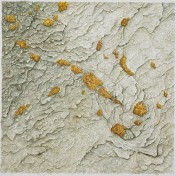 steinig - Goldflechte, 28 x 28 (Aquarell von Gitta von Felten)