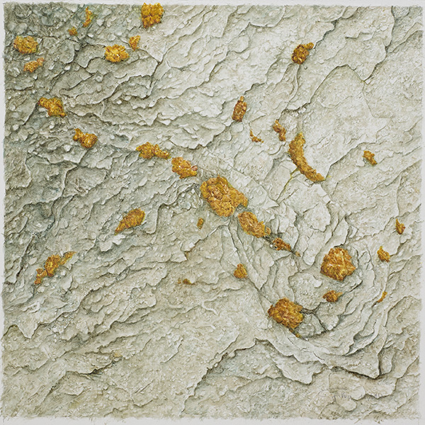 steinig - Goldflechte, 28 x 28 (Aquarell von Gitta von Felten)